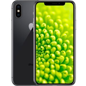 Smartfon Apple iPhone XS 4 GB / 64 GB 4G (LTE) szary