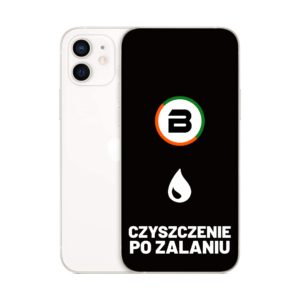 Czyszczenie Urządzenia po Zalanniu Apple iPhone 12 Mini